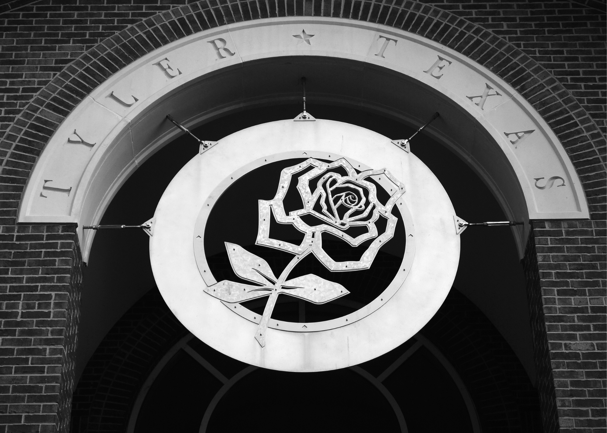 Untitled design (37)-1.png